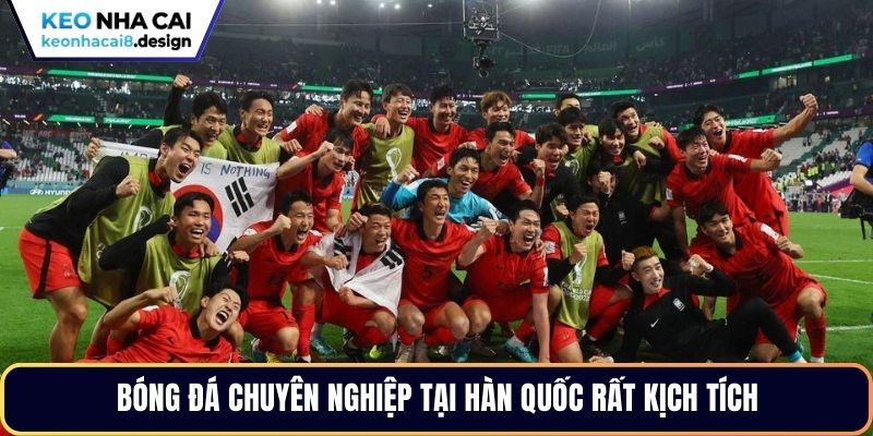 Bóng đá chuyên nghiệp tại Hàn Quốc rất kịch tích