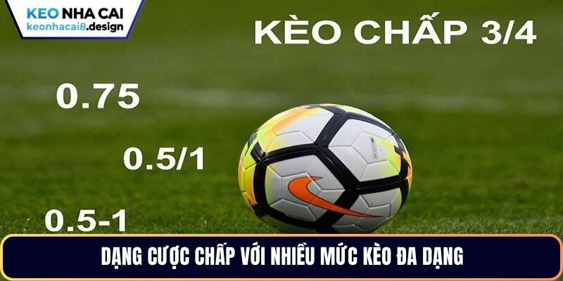 Dạng cược chấp với nhiều mức kèo đa dạng