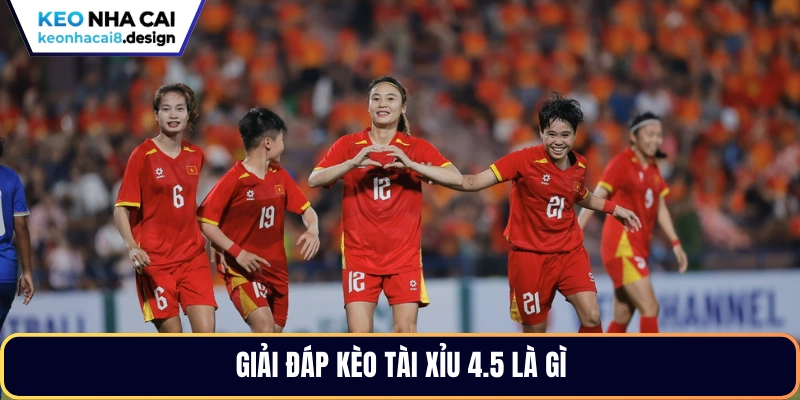 Giải đáp kèo tài xỉu 4.5 là gì