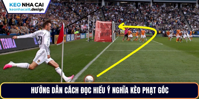 Hướng dẫn cách đọc hiểu ý nghĩa kèo phạt góc
