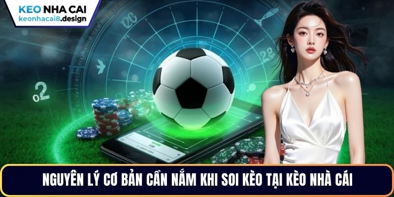 Nguyên lý cơ bản cần nắm khi soi kèo tại Kèo Nhà Cái