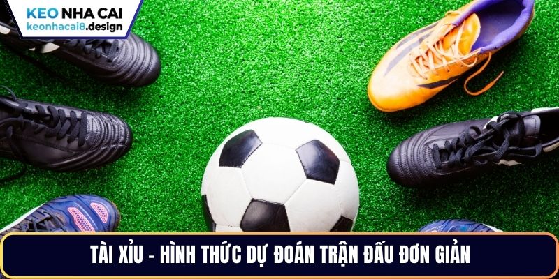 Tài xỉu - Hình thức dự đoán trận đấu đơn giản