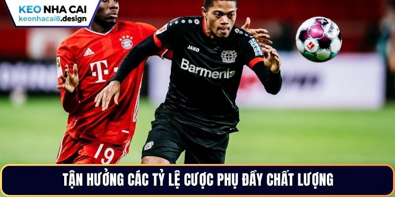 Tận hưởng các tỷ lệ cược phụ đầy chất lượng