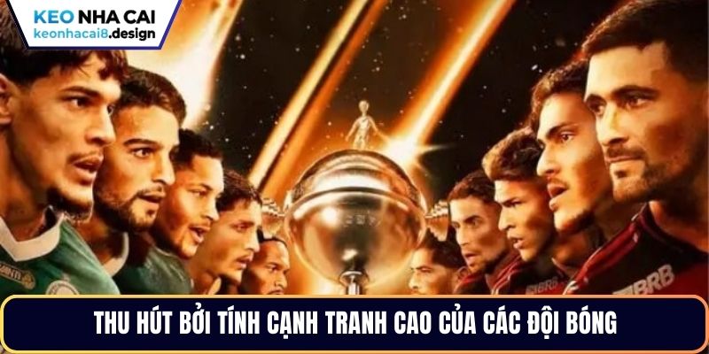 Thu hút bởi tính cạnh tranh cao của các đội bóng