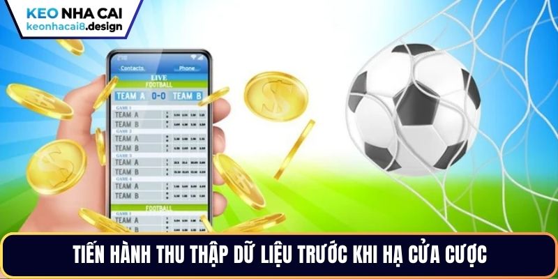 Tiến hành thu thập dữ liệu trước khi hạ cửa cược