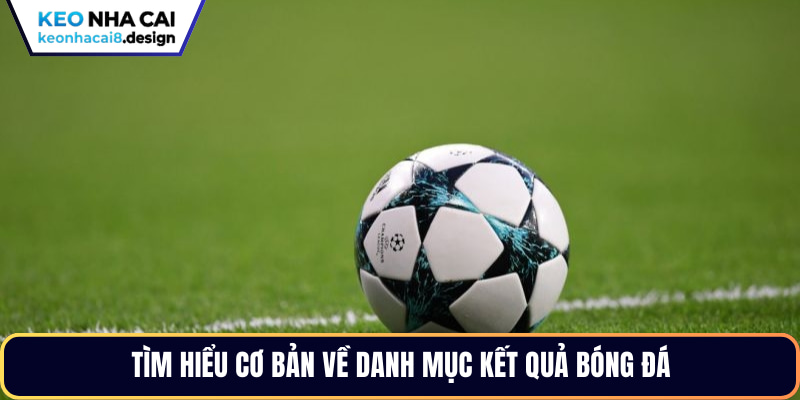 Tìm hiểu cơ bản về danh mục kết quả bóng đá