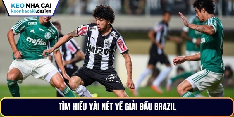 Tìm hiểu vài nét về giải đấu BRAZIL