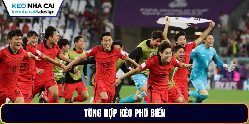 Tổng hợp kèo phổ biến