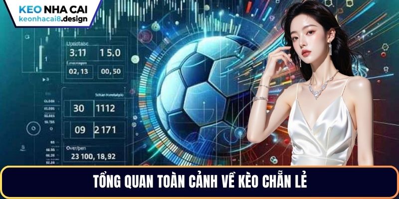 Tổng quan toàn cảnh về kèo chẵn lẻ