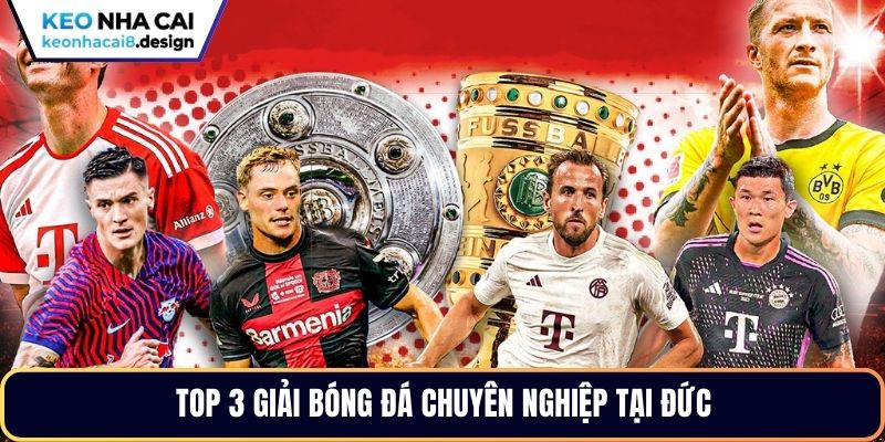 Top 3 giải bóng đá chuyên nghiệp tại Đức